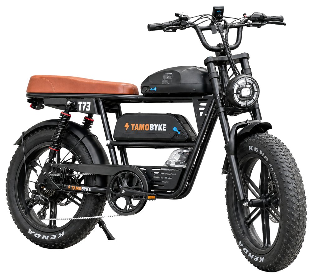 Ficha técnica da E-bike Deltago V35