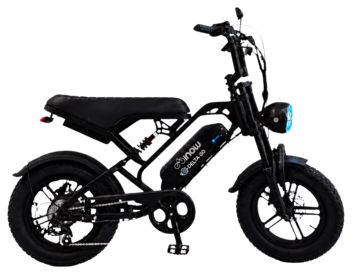 Ficha técnica da E-bike Deltago V20 Mini